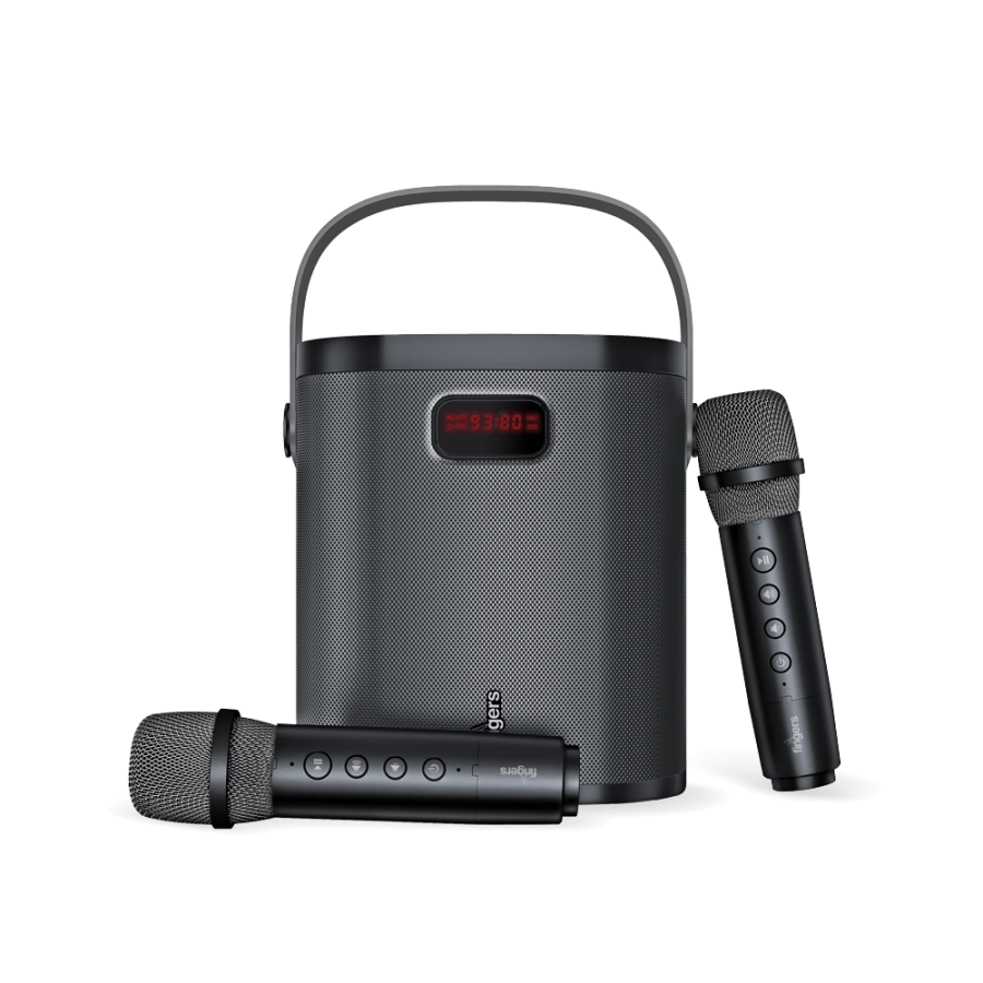 2MIC-GROOVEBOX - Image 2